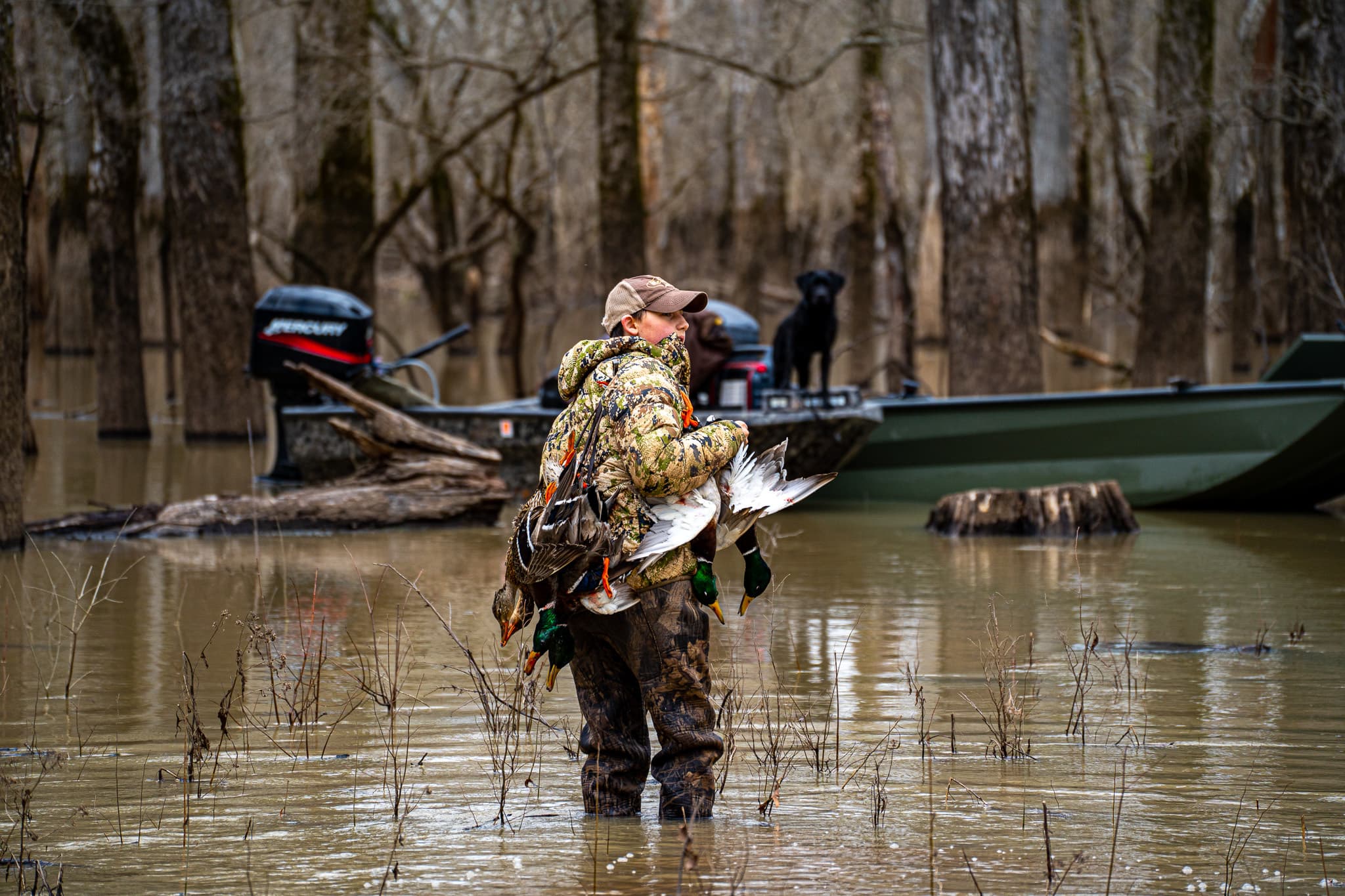 Cover Image for Improving Waterfowl Harvest Reporting: From HIP Surveys to Real-Time Solutions