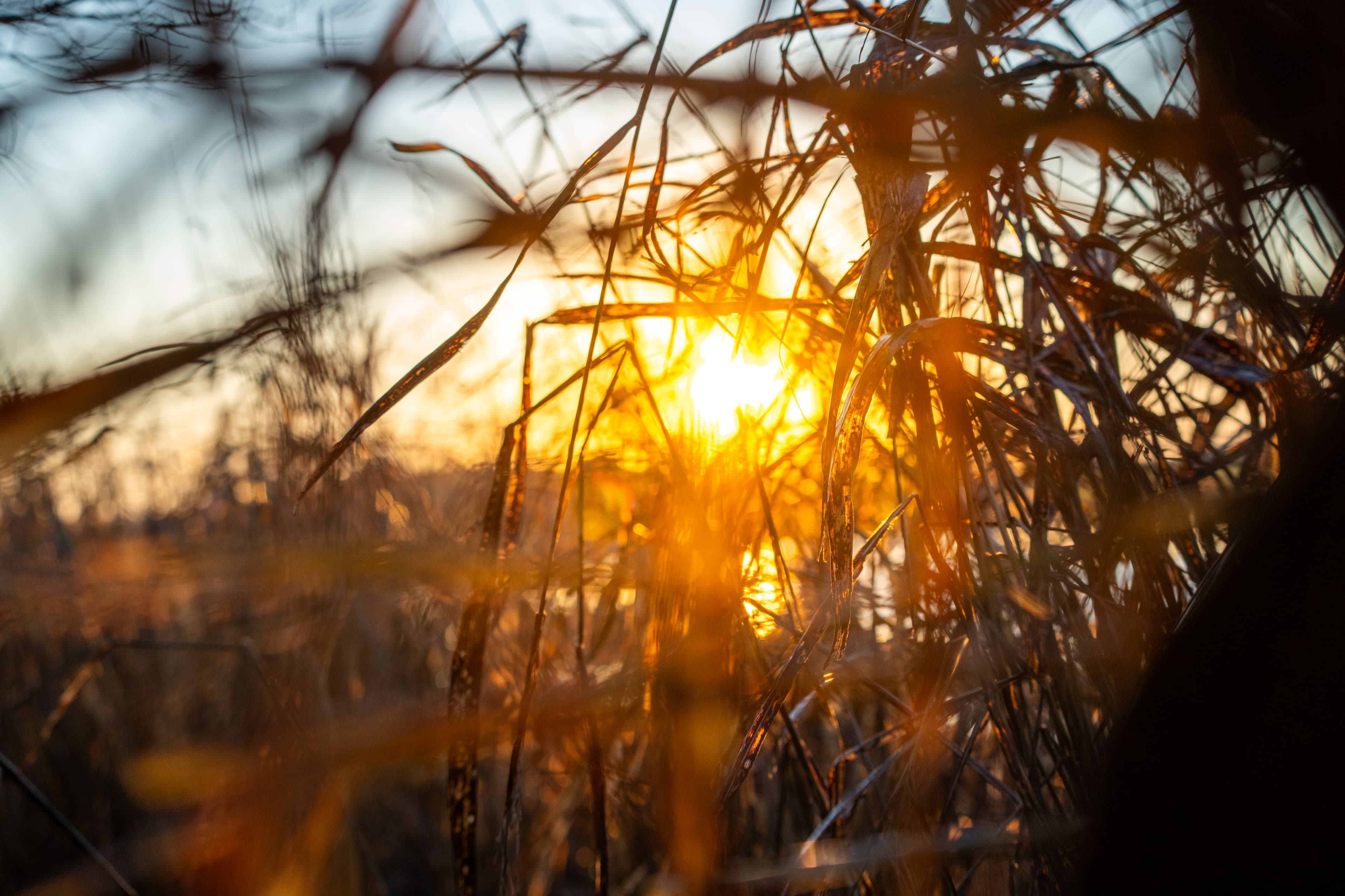 What Is GOVRAX? Smarter Access for the Outdoors